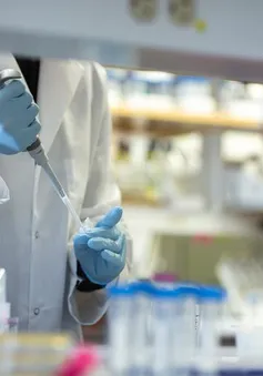 Đặc điểm nguy hiểm khiến SARS-CoV-2 dễ lây lan hơn chủng virus corona khác