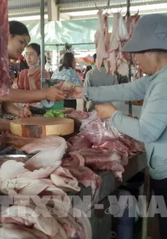 Chờ tăng nguồn cung để giảm giá thịt lợn