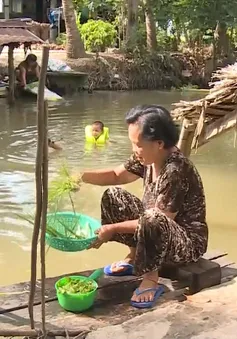 Còn nhiều vùng nông thôn ở Hậu Giang chưa có nước sạch