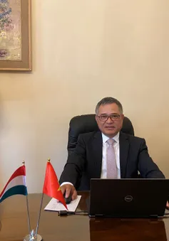 Đại sứ Nguyễn Tiến Thức: Đồng hành với cộng đồng người Việt tại Hungary trong phòng, chống dịch COVID-19