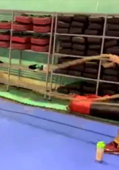 ĐT Pencak Silat Việt Nam tập thể lực với lốp xe và dây thừng