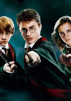 VTVcab chiếu trọn bộ 8 tập phim Harry Potter từ 10/4