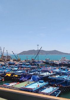 Dừng hoạt động bến tàu du lịch Cầu Đá (Nha Trang) bị quá tải trong nhiều năm