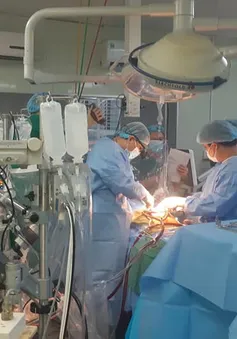 Ca ghép tạng xuyên Việt: Chuyển hai lá gan trong đêm từ Hà Nội vào TP.HCM để ghép cho bệnh nhân xơ gan
