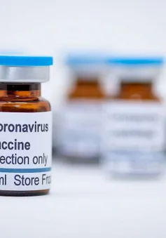 "Nóng" cuộc đua thử nghiệm vaccine điều trị COVID-19