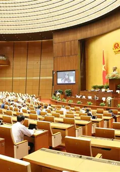 Cấm hay không cấm kinh doanh dịch vụ đòi nợ làm "nóng" nghị trường Quốc hội