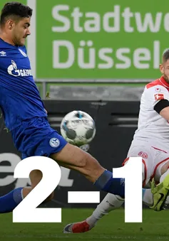 VIDEO Highlight Dusseldorf 2-1 Schalke: Ngược dòng bất ngờ (Vòng 28 VĐQG Đức Bundesliga)