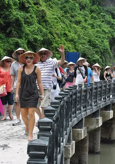 Chưa mở cửa đón khách du lịch quốc tế vào Việt Nam