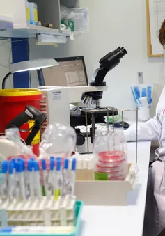 Israel phân lập thành công kháng thể chống virus SARS-CoV-2
