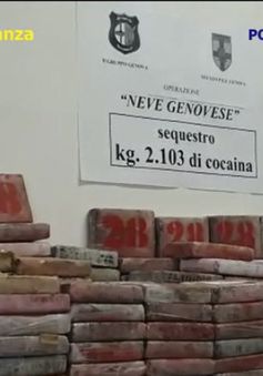 Colombia thu giữ lượng cocaine "khủng" trị giá 265 triệu USD trong các container