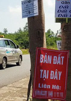 "Bong bóng" sốt đất ảo xì hơi: Người mua ôm "trái đắng"