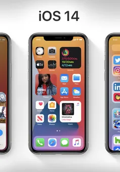 iOS 14 cho phép thay trình duyệt khác Safari làm mặc định