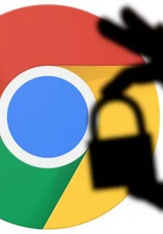 Cảnh báo phần mềm gián điệp khi cài đặt tiện ích mở rộng trên trình duyệt Google Chrome