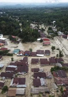 Lũ lụt gây thiệt hại nghiêm trọng tại Indonesia, ít nhất 36 người thiệt mạng