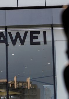 Pháp ngầm "trói tay" Huawei