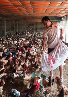 Người Việt vượt qua khó khăn kinh tế vì biết tiết kiệm