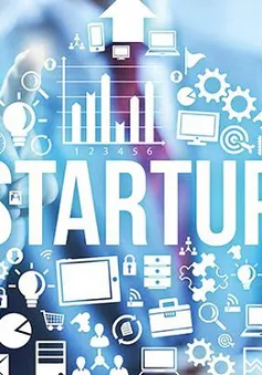 Start-up Đông Nam Á vật lộn giữa cơn bão COVID-19