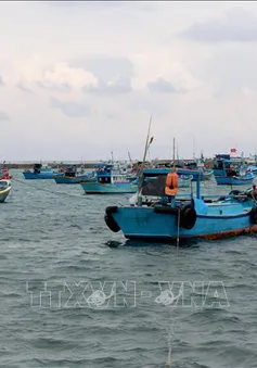 Hoàn thành 90% khu neo đậu tránh bão tại đảo Phú Quý