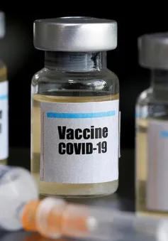 Singapore dự định thử nghiệm vaccine chống COVID-19 trên người trong tuần này