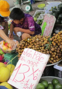 Nhãn Bắc giá 8.000 đồng/kg ế ẩm, thanh nhãn 170.000 đồng vẫn có người mua