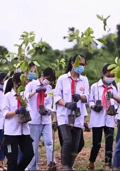 Gieo những mầm xanh cho cánh rừng