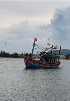 Tàu câu mực Quảng Ngãi bị tàu lạ đâm chìm, 1 người mất tích