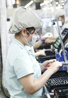 Doanh nghiệp Nhật Bản, Hàn Quốc mong muốn chuyển dịch đầu tư sang Việt Nam