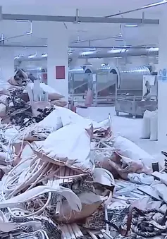 Nguy hại tình trạng nhiễm độc thiếc