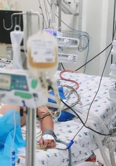 Bộ Y tế thông tin về việc thiếu dịch truyền cao phân tử điều trị sốc sốt xuất huyết nặng