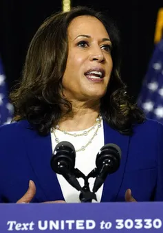 Phó Tổng thống đắc cử Mỹ Kamala Harris chuẩn bị đảm nhiệm cương vị mới