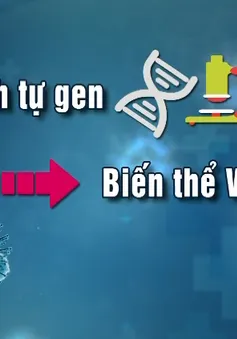 Ca mắc COVID-19 biến thể mới tại Việt Nam được điều trị như thế nào?