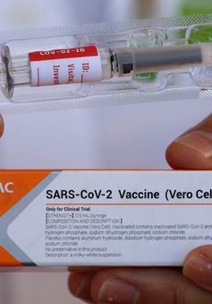 Indonesia bắt đầu phân phối vaccine ngừa COVID-19 trên toàn quốc