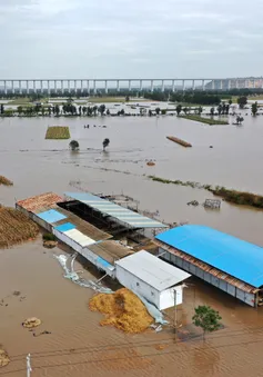 Mưa lớn gây lũ lụt nghiêm trọng ở miền Bắc Trung Quốc, ít nhất 15 người thiệt mạng