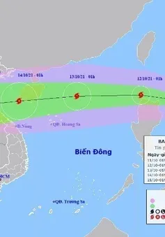 Bão số 8 di chuyển rất nhanh, có thể đạt cấp 11