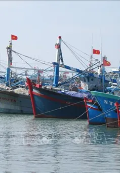 Khắc phục “thẻ vàng” IUU: Xây dựng, bổ sung kế hoạch thực hiện chống khai thác IUU phù hợp