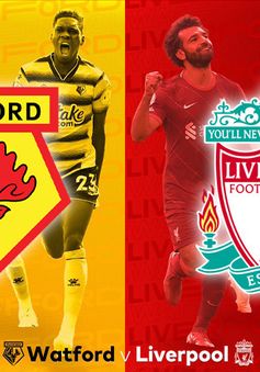 Thông tin trước trận đấu: Watford - Liverpool | 18h30 ngày 16/10