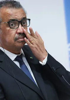 EU đình chỉ tài trợ cho các chương trình của WHO ở Congo sau bê bối lạm dụng tình dục