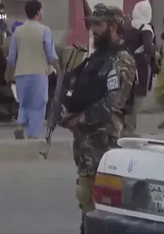 Taliban tấn công nơi ẩn náu của IS