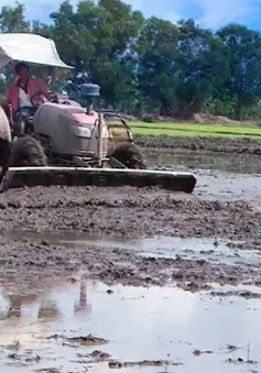 Chuyên gia cảnh báo sau mùa lũ cạn ở ĐBSCL