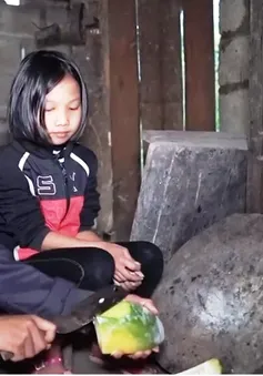 Cặp lá yêu thương: Cô bé mang tên mùa hè