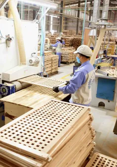 Doanh nghiệp linh hoạt phục hồi sản xuất trong tình hình mới