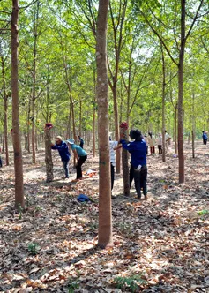 “Vàng trắng” lên giá - doanh nghiệp hưởng lợi