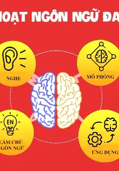 Thoát khỏi nỗi sợ tiếng Anh nhờ phương pháp MLLA của học viện Metis