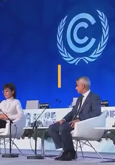 COP26 - Nỗ lực và kỳ vọng cho mục tiêu lâu dài