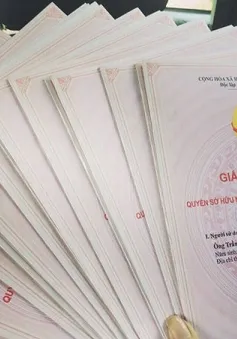Hàng trăm dự án tại TP Hồ Chí Minh bị “treo” sổ hồng