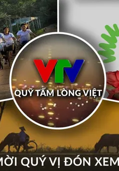 Bản tin Quỹ Tấm lòng Việt tuần 4 tháng 11/2021