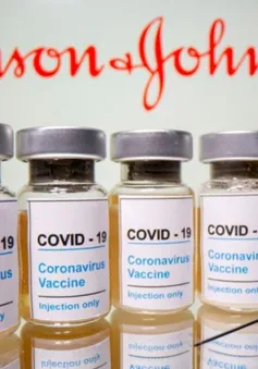 EU ủng hộ tiêm mũi tăng cường cho người trưởng thành bằng vaccine Johnson & Johnson