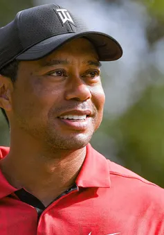 Tiger Woods và sự trở lại với golf tại PNC Championship