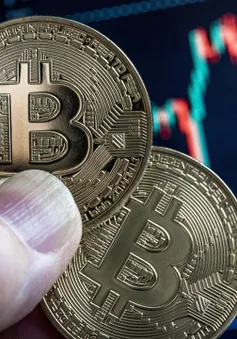 Chiếc ví bí ẩn chứa 321 Bitcoin “sống lại” sau 8 năm “ngủ đông”