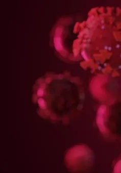 TP. Hồ Chí Minh xuất hiện biến thể phụ XBB của Omicron